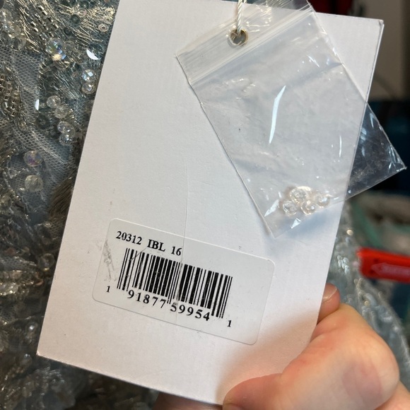 Mac Duggal 20312 Embroidered Sleeveless A Line Gown - Picture 13 of 14